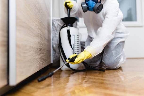 Wasp Removal Services in Panama City Beach, FL