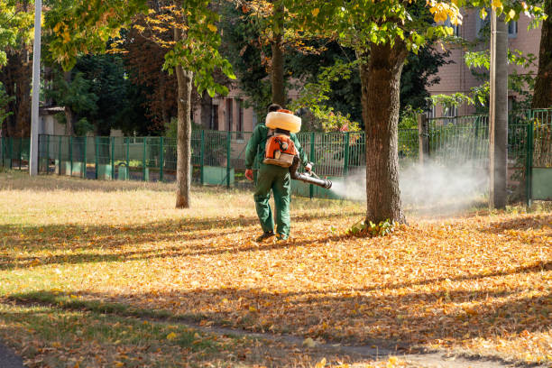Best Residential Pest Control  in Panama City Beach, FL