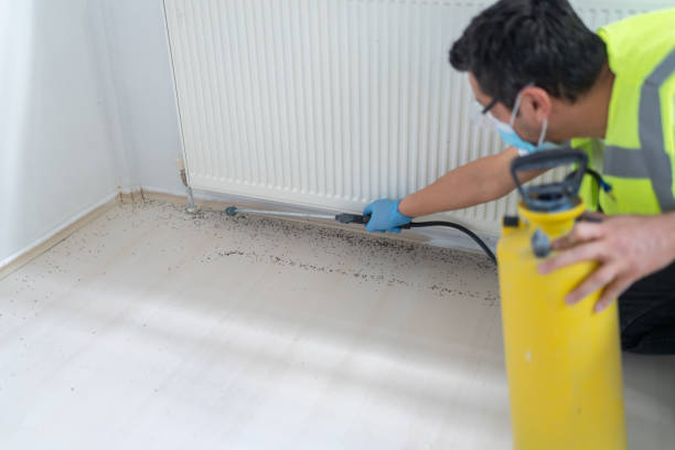 Best Exterminator Services  in Panama City Beach, FL